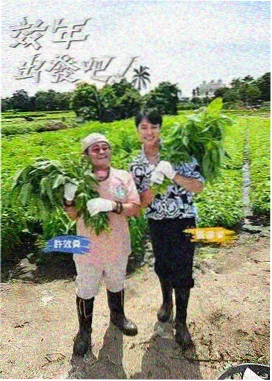 首映礼红毯全记录封面